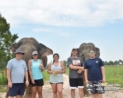 Elephant Jungle Sanctuary excursion in Pattaya Thailand - photo 1085