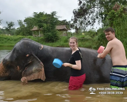 Elephant Jungle Sanctuary excursion in Pattaya Thailand - photo 721