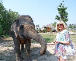 Elephant Jungle Sanctuary excursion in Pattaya Thailand - photo 279