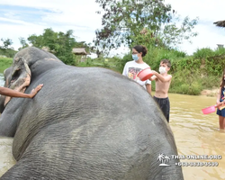 Elephant Jungle Sanctuary excursion in Pattaya Thailand - photo 379