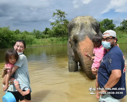 Elephant Jungle Sanctuary excursion in Pattaya Thailand - photo 909