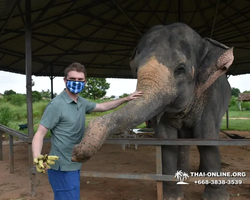 Elephant Jungle Sanctuary excursion in Pattaya Thailand - photo 1022