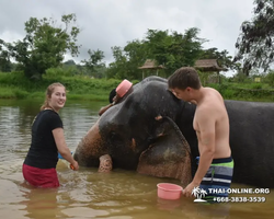 Elephant Jungle Sanctuary excursion in Pattaya Thailand - photo 868