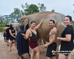 Elephant Jungle Sanctuary excursion in Pattaya Thailand - photo 729