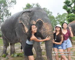 Elephant Jungle Sanctuary excursion in Pattaya Thailand - photo 168