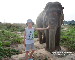 Elephant Jungle Sanctuary excursion in Pattaya Thailand - photo 623