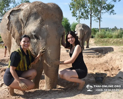 Elephant Jungle Sanctuary excursion in Pattaya Thailand - photo 69