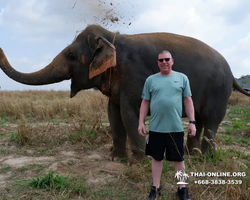 Elephant Jungle Sanctuary excursion in Pattaya Thailand - photo 540