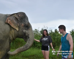 Elephant Jungle Sanctuary excursion in Pattaya Thailand - photo 1081
