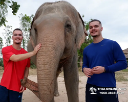 Elephant Jungle Sanctuary excursion in Pattaya Thailand - photo 691