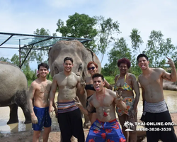 Elephant Jungle Sanctuary excursion in Pattaya Thailand - photo 434