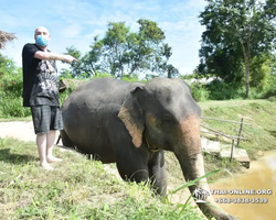 Elephant Jungle Sanctuary excursion in Pattaya Thailand - photo 79