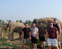 Elephant Jungle Sanctuary excursion in Pattaya Thailand - photo 970