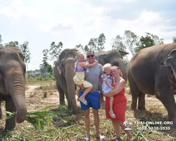 Elephant Jungle Sanctuary excursion in Pattaya Thailand - photo 435