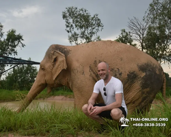 Elephant Jungle Sanctuary excursion in Pattaya Thailand - photo 409