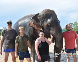 Elephant Jungle Sanctuary excursion in Pattaya Thailand - photo 801