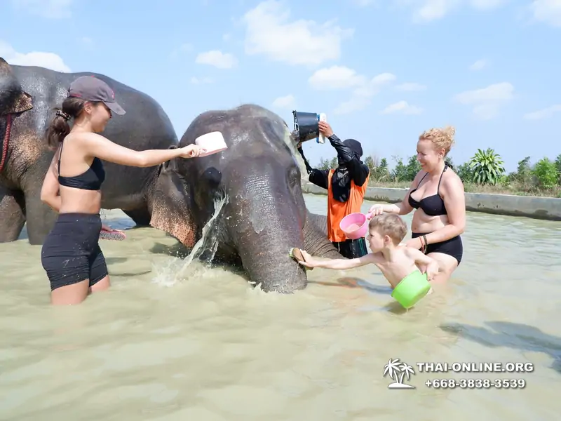 Elephant Jungle Sanctuary excursion in Pattaya Thailand - photo 1067