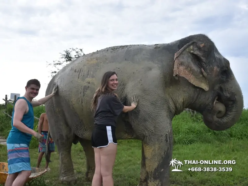 Elephant Jungle Sanctuary excursion in Pattaya Thailand - photo 1045