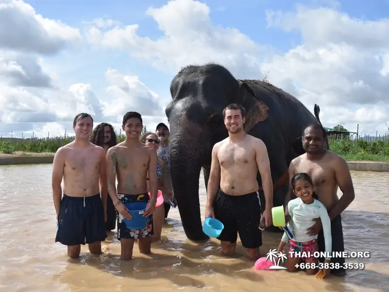 Elephant Jungle Sanctuary excursion in Pattaya Thailand - photo 1033