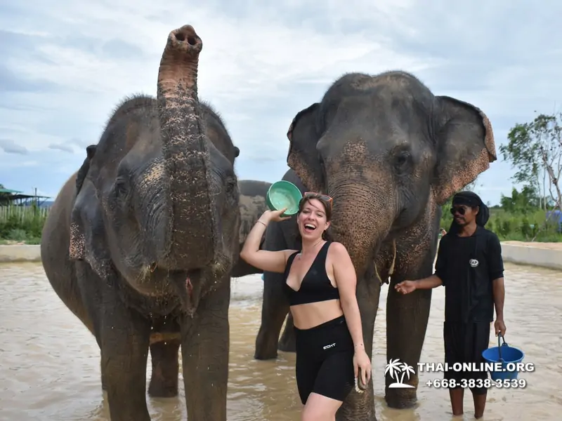 Elephant Jungle Sanctuary excursion in Pattaya Thailand - photo 974