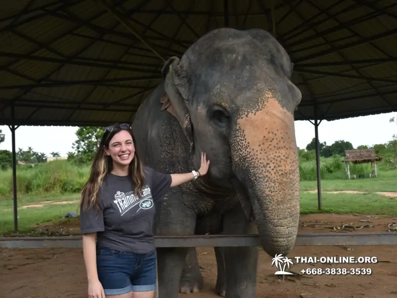 Elephant Jungle Sanctuary excursion in Pattaya Thailand - photo 1043