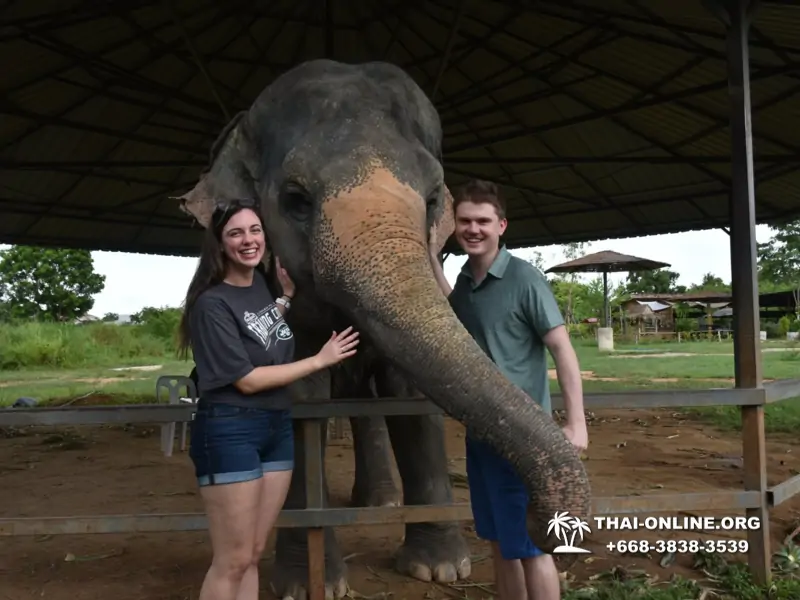 Elephant Jungle Sanctuary excursion in Pattaya Thailand - photo 1035