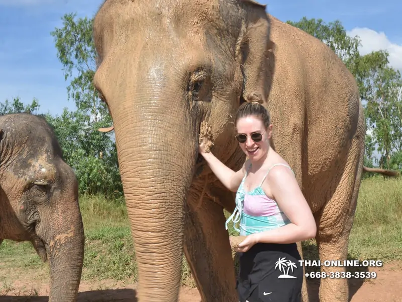 Elephant Jungle Sanctuary excursion in Pattaya Thailand - photo 99