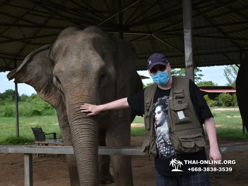 Elephant Jungle Sanctuary excursion in Pattaya Thailand - photo 1060