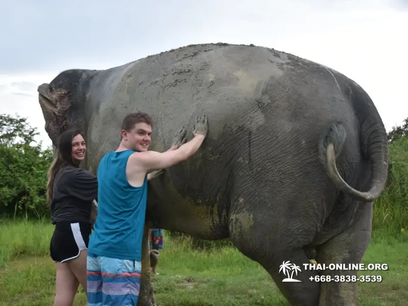 Elephant Jungle Sanctuary excursion in Pattaya Thailand - photo 1068