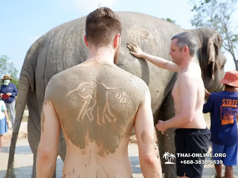 Elephant Jungle Sanctuary excursion in Pattaya Thailand - photo 1031