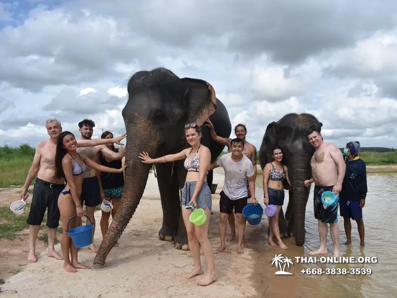Elephant Jungle Sanctuary excursion in Pattaya Thailand - photo 948