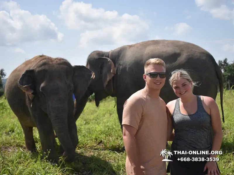 Elephant Jungle Sanctuary excursion in Pattaya Thailand - photo 1057