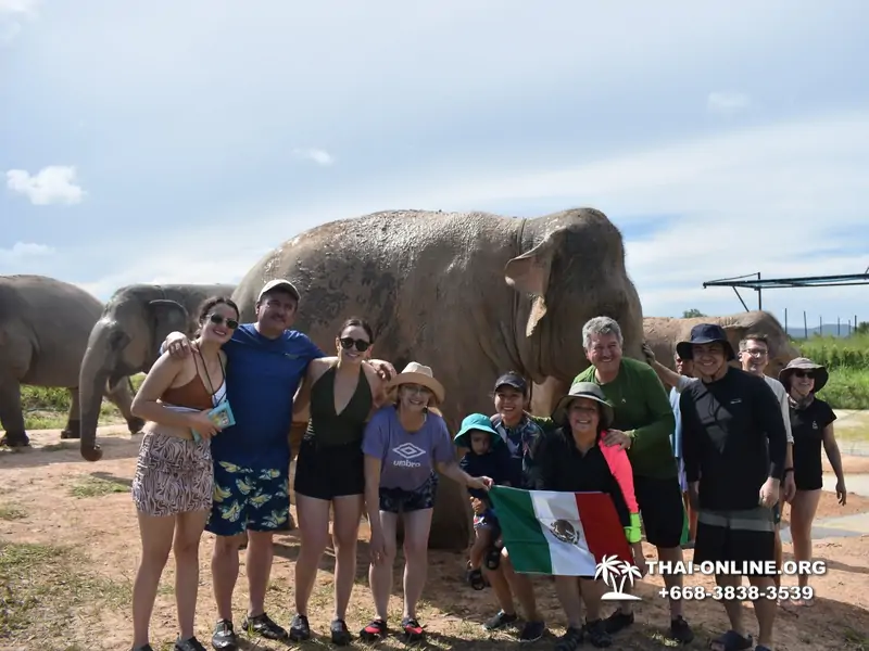 Elephant Jungle Sanctuary excursion in Pattaya Thailand - photo 962