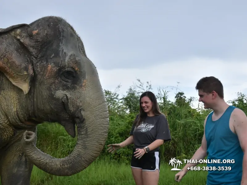 Elephant Jungle Sanctuary excursion in Pattaya Thailand - photo 1052