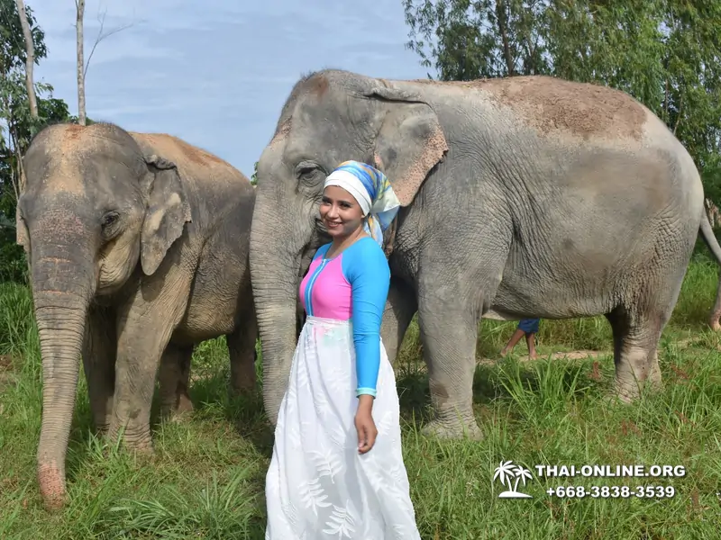 Elephant Jungle Sanctuary excursion in Pattaya Thailand - photo 107