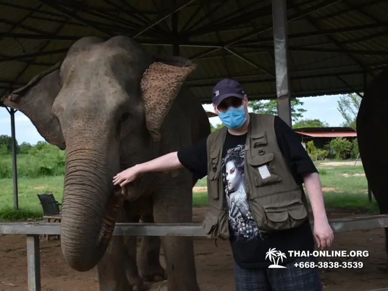 Elephant Jungle Sanctuary excursion in Pattaya Thailand - photo 1079