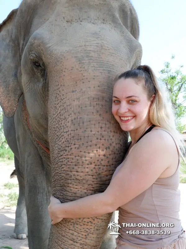 Elephant Jungle Sanctuary excursion in Pattaya Thailand - photo 1023