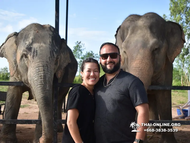 Elephant Jungle Sanctuary excursion in Pattaya Thailand - photo 984