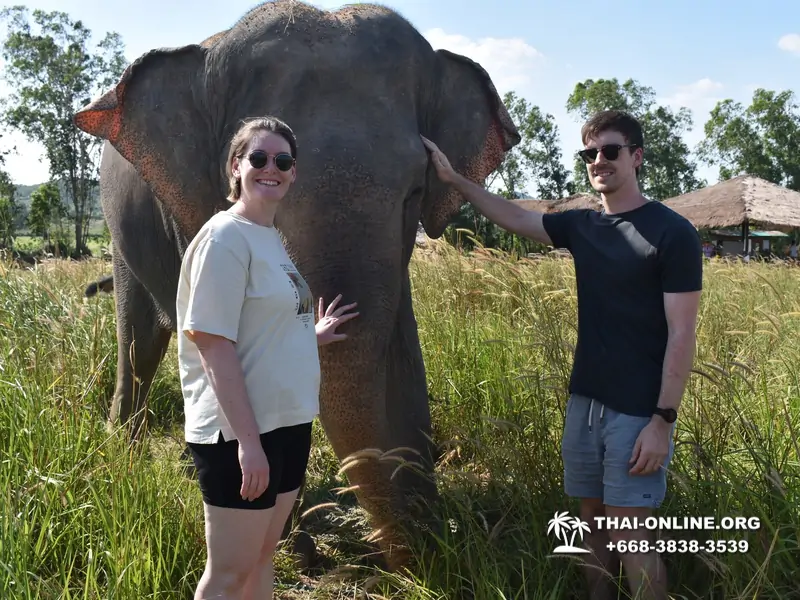 Elephant Jungle Sanctuary excursion in Pattaya Thailand - photo 95