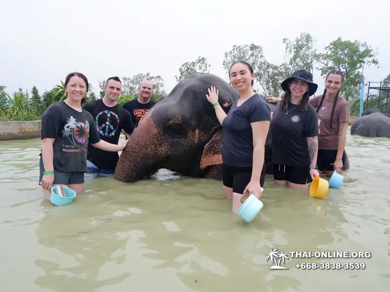 Elephant Jungle Sanctuary excursion in Pattaya Thailand - photo 1000