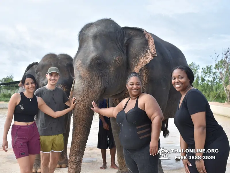 Elephant Jungle Sanctuary excursion in Pattaya Thailand - photo 966