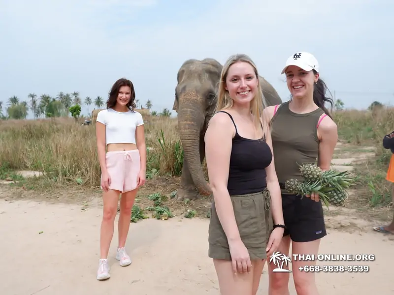 Elephant Jungle Sanctuary excursion in Pattaya Thailand - photo 1075