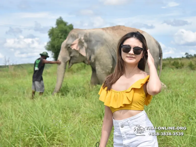 Elephant Jungle Sanctuary excursion in Pattaya Thailand - photo 1065