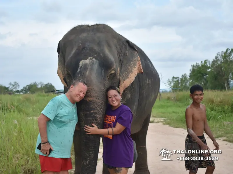 Elephant Jungle Sanctuary excursion in Pattaya Thailand - photo 1084