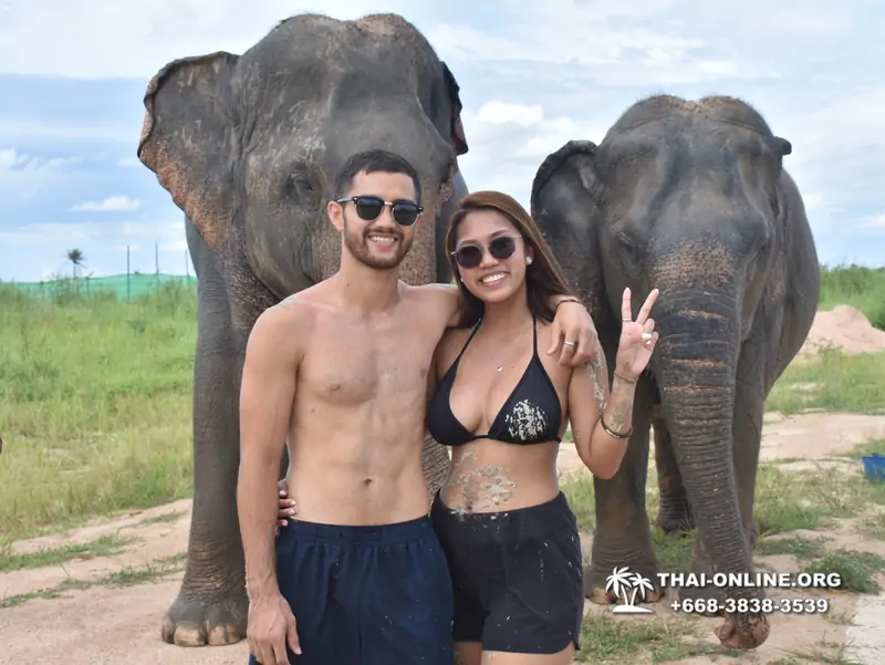 Elephant Jungle Sanctuary excursion in Pattaya Thailand - photo 967