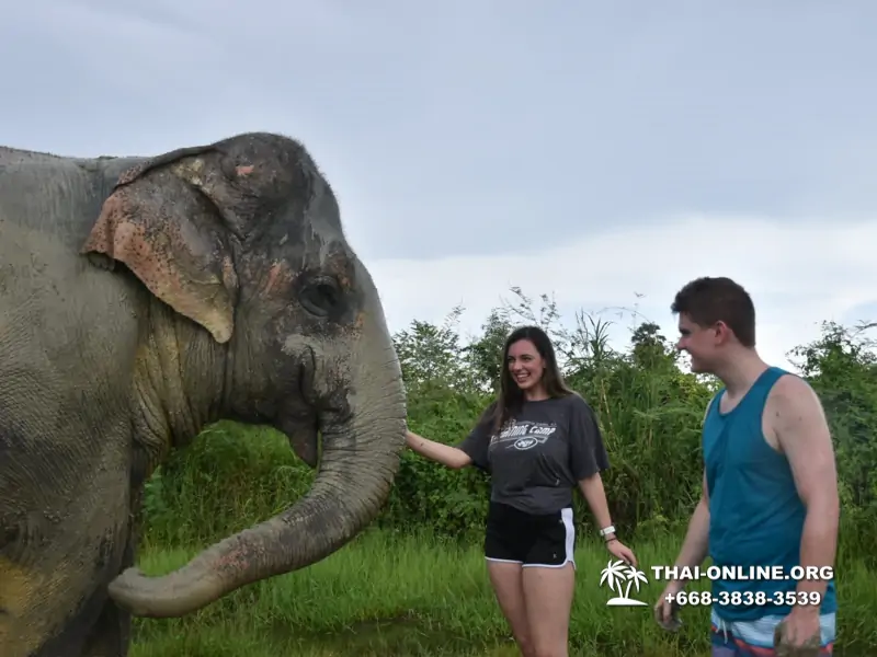 Elephant Jungle Sanctuary excursion in Pattaya Thailand - photo 1081