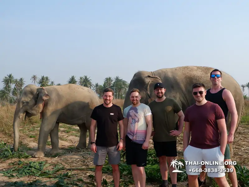 Elephant Jungle Sanctuary excursion in Pattaya Thailand - photo 970