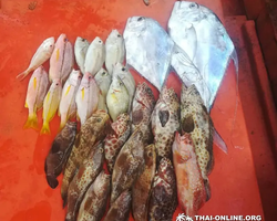 Real Fishing excursion 7 Countries from Pattaya in Thailand photo 118