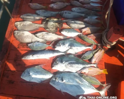 Real Fishing excursion 7 Countries from Pattaya in Thailand photo 278