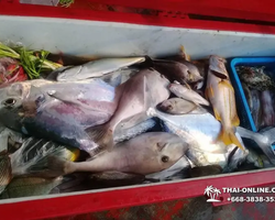 Real Fishing excursion 7 Countries from Pattaya in Thailand photo 357